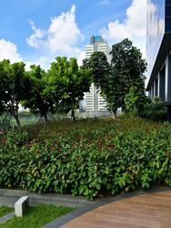 Vision Exchange (D22), Office #459736121